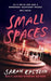 Small Spaces by Sarah Epstein