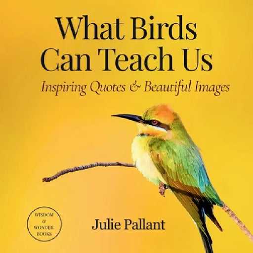 What Birds Can Teach Us: Inspiring Quotes & Beautiful Images by Julie Pallant