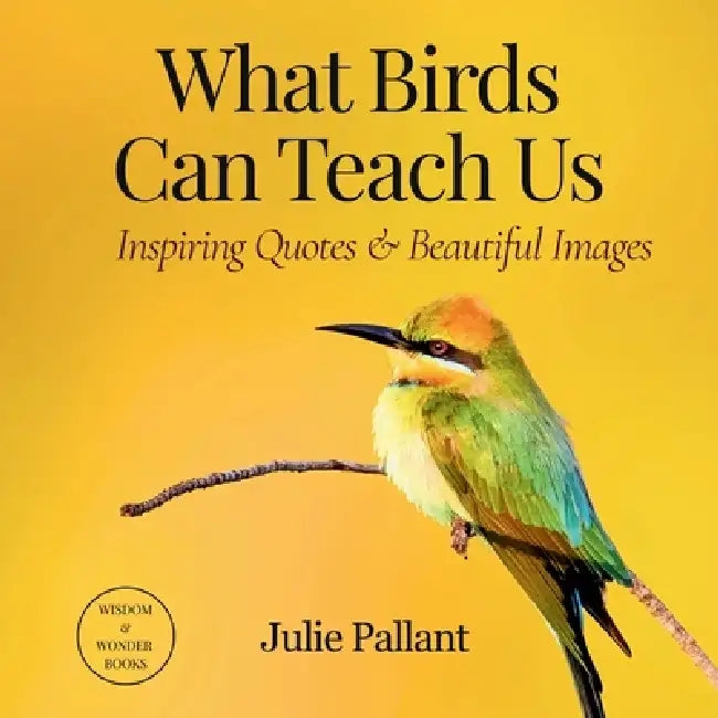 What Birds Can Teach Us: Inspiring Quotes & Beautiful Images by Julie Pallant