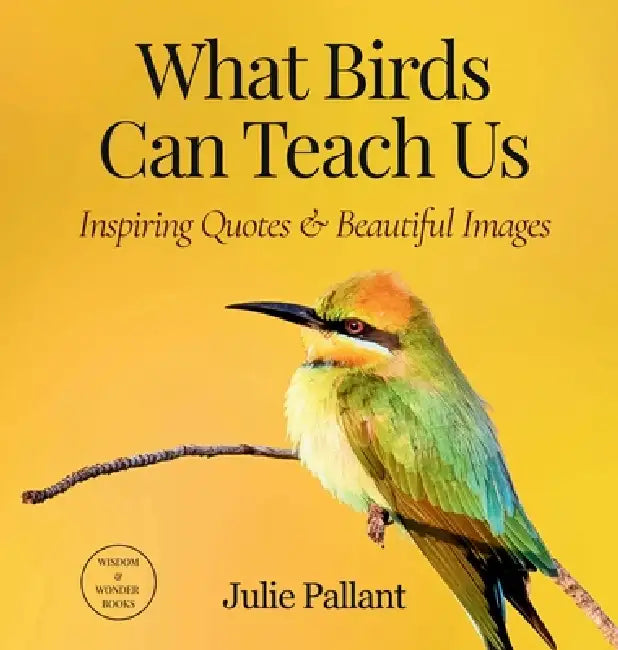 What Birds Can Teach Us: Inspiring Quotes & Beautiful Images by Julie Pallant