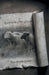 Letters to My Sheep by Teya Brooks Pribac