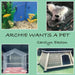 Archie Wants A Pet by Carolyn Easton