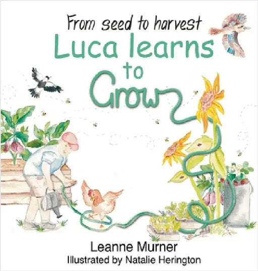 From Seed to Harvest Luca Learns to Grow by Murner, Leanne