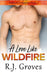 A Love Like Wildfire by R. J. Groves