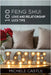 100 Feng Shui Love and Relationship Luck Tips by Castle, Michele
