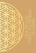 Universal Consciousness Journal by Alyssa Curtayne