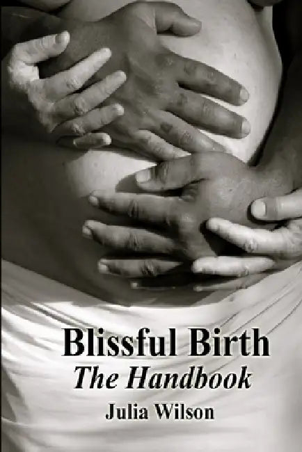Blissful Birth - The Handbook by Julia Wilson