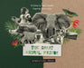 The Great Animal Rescue: Operation Noah by Amai Palmer, Carmen Ladwig