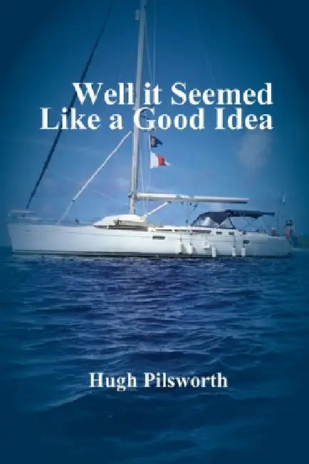 Well it Seemed Like a Good Idea by Hugh Pilsworth