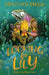 Looking for Lily by Kristy Nita Brown