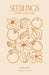 Seedlings Poetry Collection by Tatum Lawn