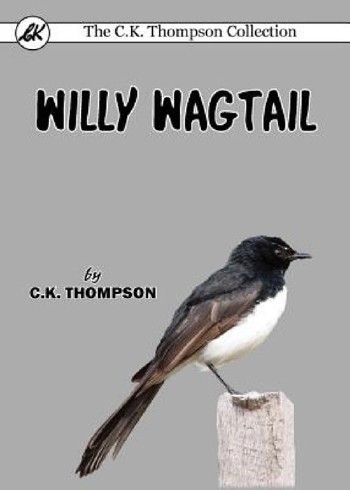 Willy Wagtail by C. K. Thompson