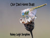 Our Dad Hates Bugs by Rainey Leigh Seraphine