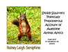 Skiddy Squirrel's Poetically Preposterous Account of Awesome Animal Antics by Rainey Leigh Seraphine