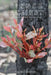 Sinned Against: Exploring the Scriptures by Valerie Wressell