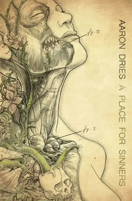 A Place For Sinners: A Novel of Survival Horror by Aaron Dries