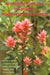 Aboriginal Plant Use in Canada's Northwest Boreal Forest by Robin J. Marles