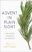 Advent in Plain Sight: A Devotion Through Ten Objects by Jill J. Duffield