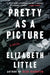 Pretty as a Picture by Elizabeth Little