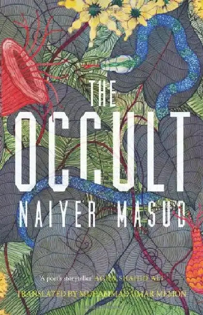 The Occult by Naiyer Masud