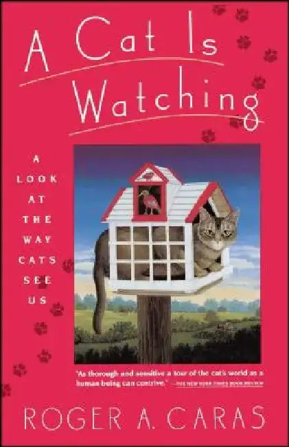 Cat Is Watching by Roger a. Caras