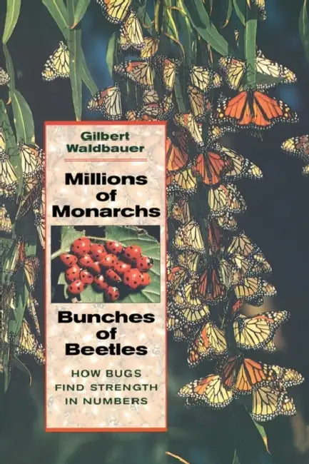Millions of Monarchs, Bunches of Beetles: How Bugs Find Strength in Numbers by Gilbert Waldbauer