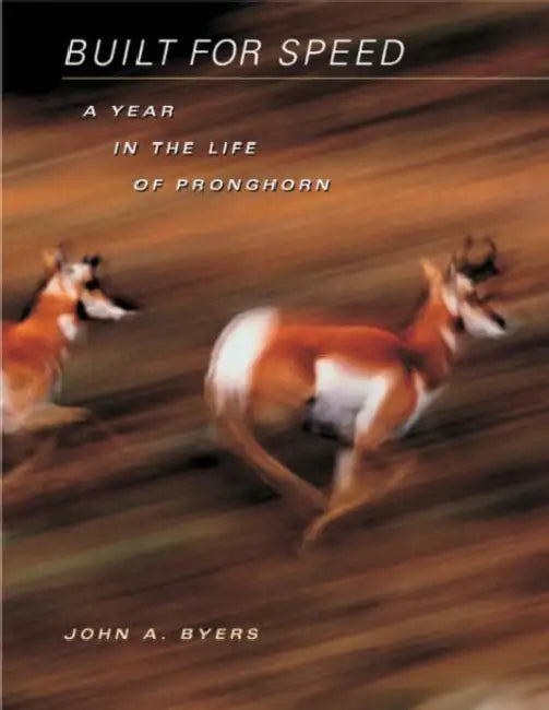 Built for Speed: A Year in the Life of Pronghorn by John A. Byers