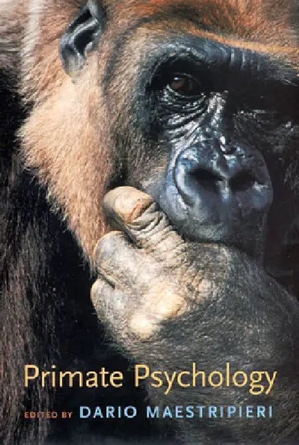 Primate Psychology by Dario Maestripieri, Filippo Aureli, Jo-Anne Bachorowski
