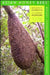 Asian Honey Bees: Biology, Conservation, and Human Interactions by Benjamin P. Oldroyd, Siriwat Wongsiri, Thomas D. Seeley