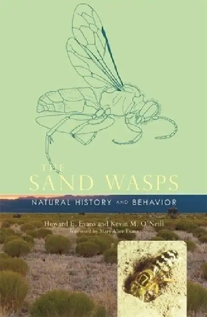 The Sand Wasps: Natural History and Behavior by Howard E. Evans, Kevin M. O'Neill, Mary Alice Evans