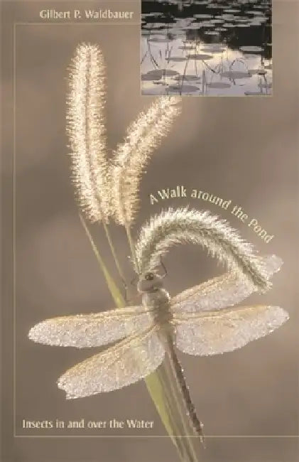 A Walk Around the Pond: Insects in and Over the Water by Gilbert Waldbauer