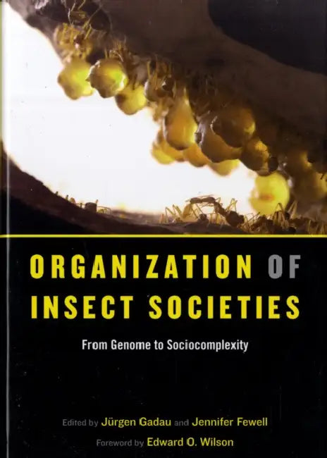 Organization of Insect Societies: From Genome to Sociocomplexity by Jürgen Gadau, Jennifer Fewell, Edward O. Wilson