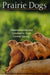 Prairie Dogs: Communication and Community in an Animal Society by C. N. Slobodchikoff, Bianca S. Perla, Jennifer L. Verdolin