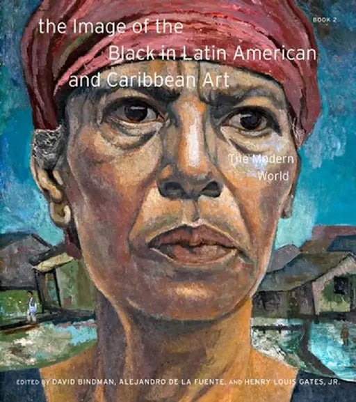 The Image of the Black in Latin American and Caribbean Art by David Bindman