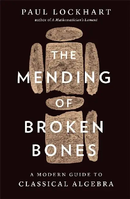 The Mending Of Broken Bones  A Modern Guide To Classical Algebra by Paul Lockhart