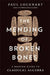 The Mending Of Broken Bones  A Modern Guide To Classical Algebra by Paul Lockhart
