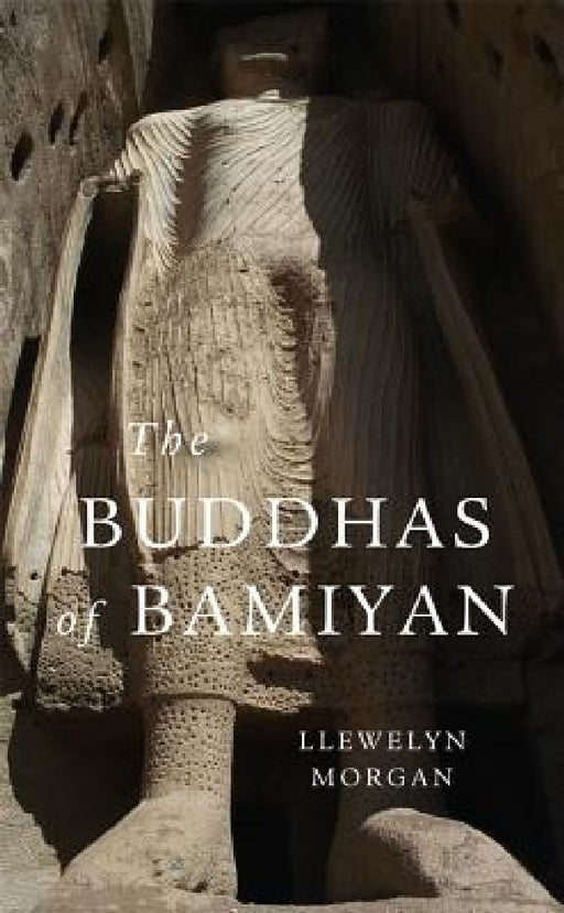 The Buddhas of Bamiyan by Llewelyn Morgan