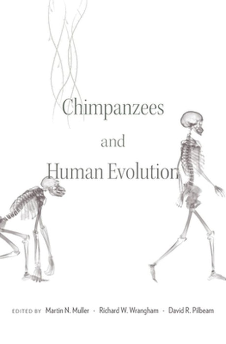 Chimpanzees and Human Evolution by Muller, Martin N.
