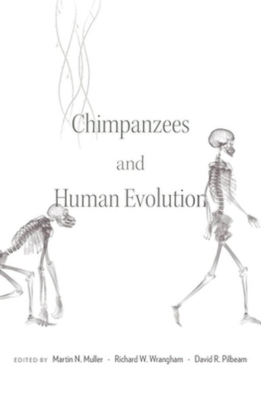 Chimpanzees and Human Evolution by Muller, Martin N.