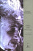 Ideas and Opinions by Albert Einstein