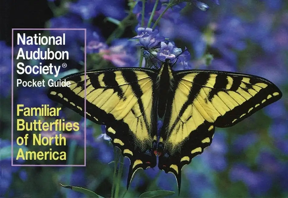 Familiar Butterflies by National Audubon Society