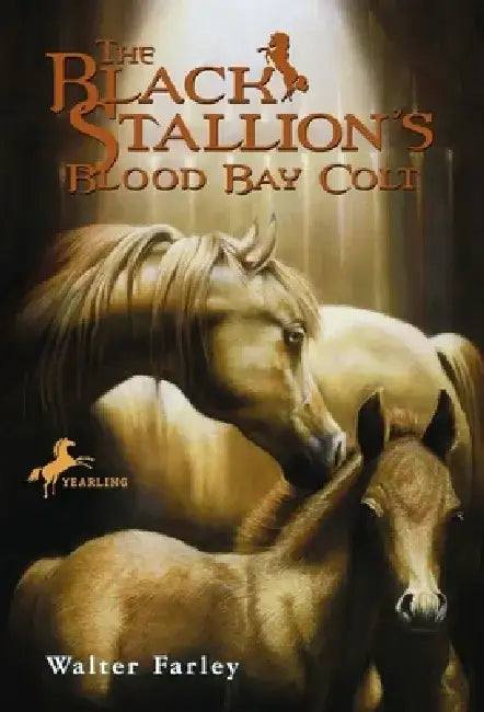 The Black Stallion's Blood Bay Colt: (Reissue) by Walter Farley
