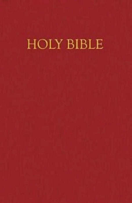 Children's Bible-NRSV-Gift & Award by Chk America