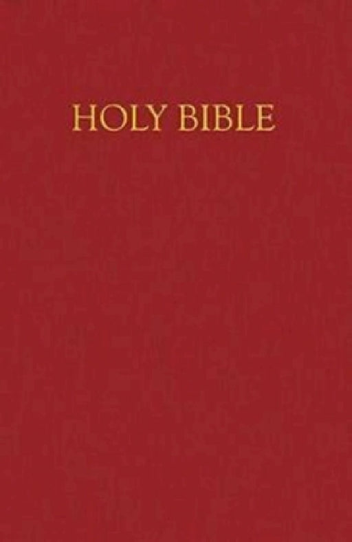 Children's Bible-NRSV-Gift & Award by Chk America