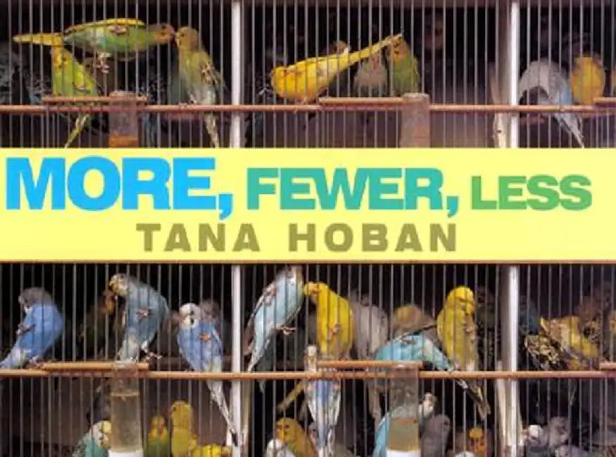 More, Fewer, Less: Mastering the Zone by Tana Hoban