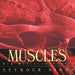Muscles: Our Muscular System by Seymour Simon