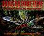 Bugs Before Time: Prehistoric Insects and Their Relatives by Cathy Camper
