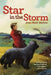 Star in the Storm by Joan Hiatt Harlow
