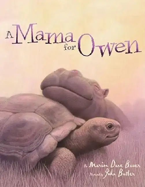 A Mama for Owen by Marion Dane Bauer
