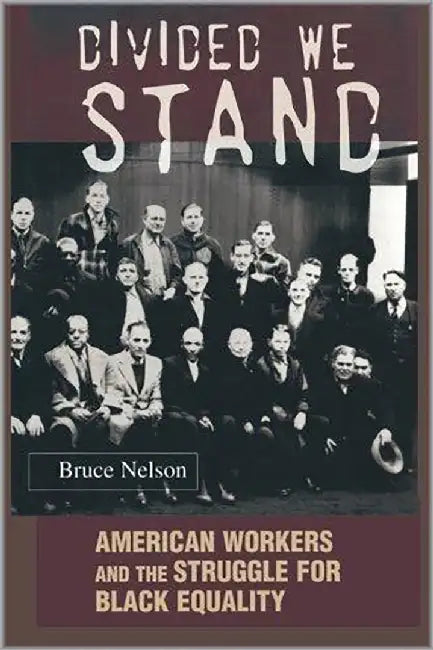 Divided We Stand: American Workers and the Struggle for Black Equality by Bruce Nelson